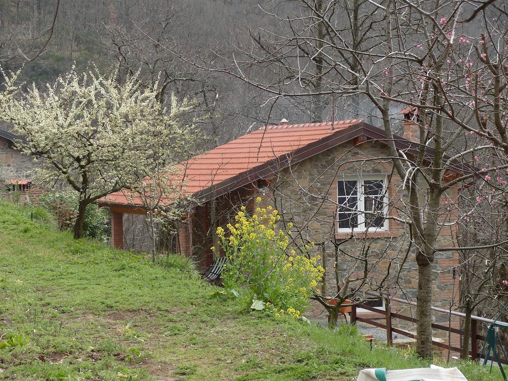 Il Podere Di Giada Bed & Breakfast Bagni di Lucca Cameră foto